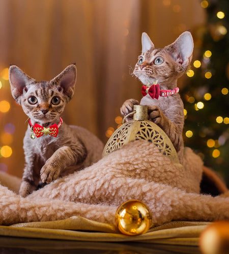 2Pack Halloween/Christmas Cat Collar with Bell Quick Release Safe Buckle Festival Breakaway Cat Collars with Bowtie Size Adjustable from 8" - 12"